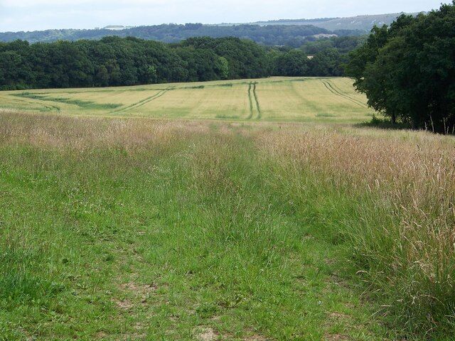 Arable land near Pits Wood Between Pits Woods and Flat Copse there is an area of arable land with both cereal and game crops.