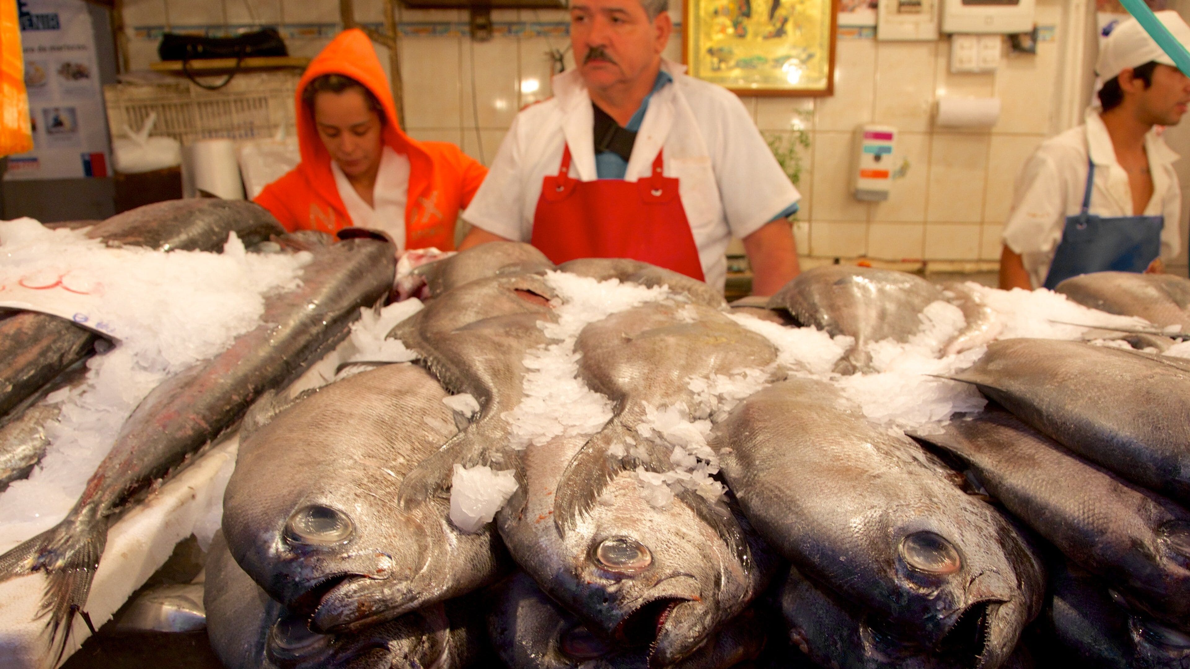 Maipo Valley which includes food, interior views and markets