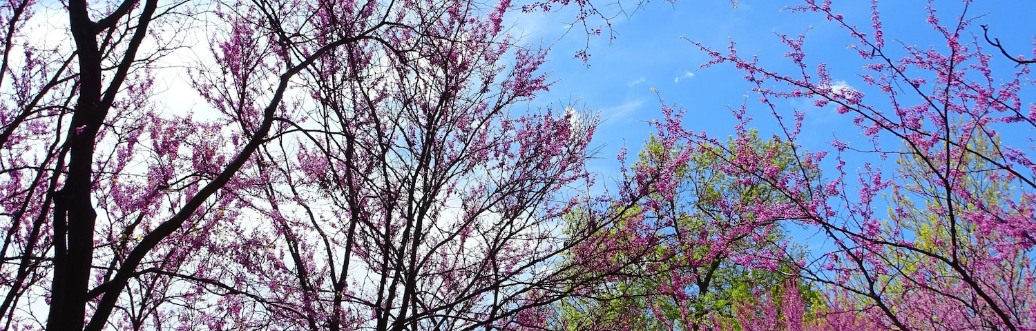 North America, United States, Missouri, Kansas City, Southmoreland Park next to the Nelson-Atkins Art Museum