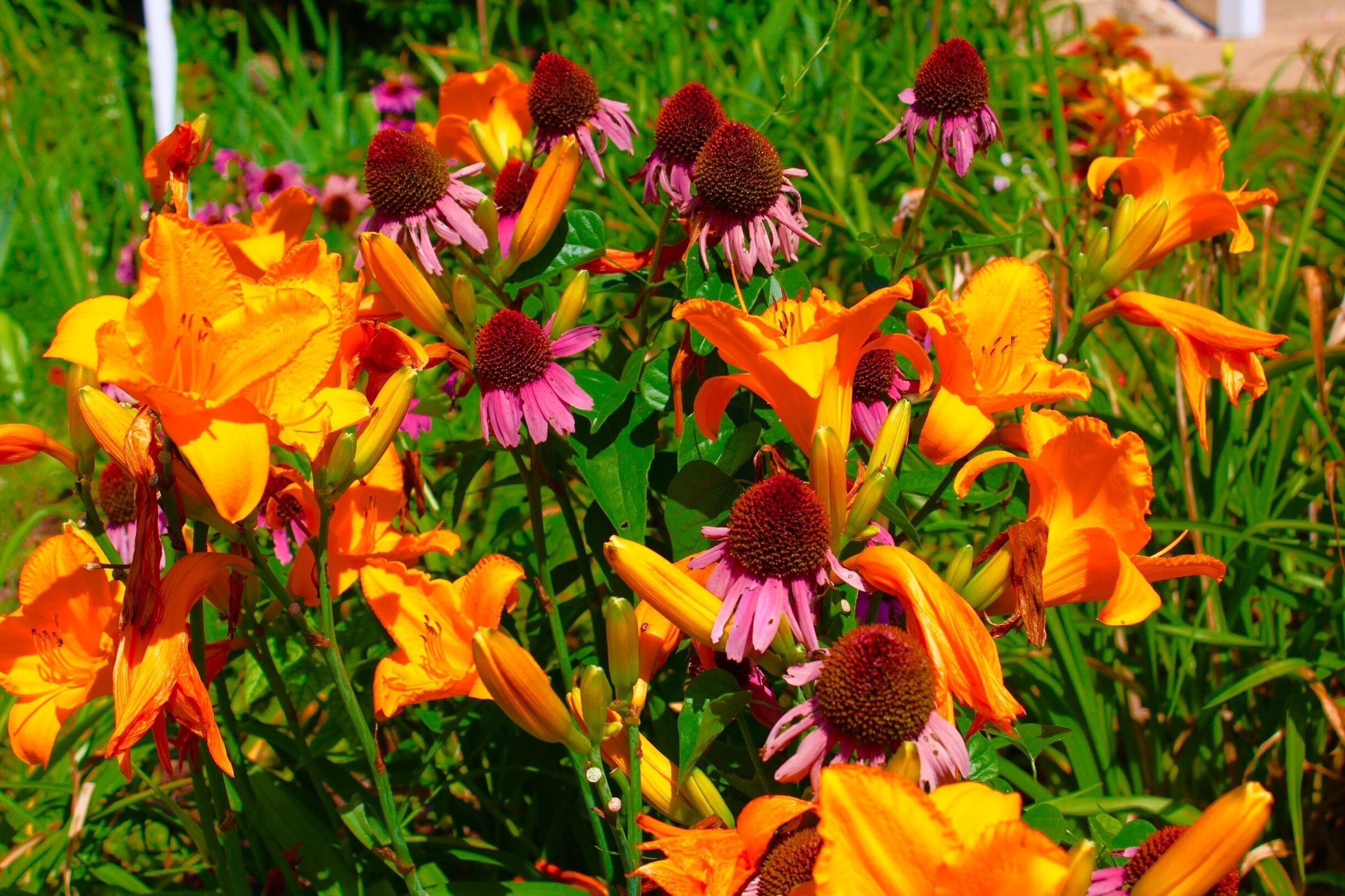 Rockbridge is an unincorporated community in northern Ozark County, Missouri. It is the site of an old mill on spring fed Spring Creek a tributary of Bryant Creek, which still houses the post office. It is twelve miles north of Gainesville, Missouri.  On the property there is a gristmill, a post office general store and lodging options.  

Oh my gosh!   What a stunning place.  It takes awhile to get there, but man is it worth the trip.   Such a serene setting!     I took my parents for breakfast, there is a fantastic restaurant in the general store, then we went and looked at the mill, creek, dam and trout hatchery!   When the pub opened (Its inside the 1800’s grist mill btw) I set my parents down and they watched the anglers trying to catch the trout in the creek below.   

From the pub you have a unique vantage point as you can see hundreds of fish in the water below that are not visible to the people fishing at ground level, so it’s fun to try and guess who will and won’t catch a fish!

Let’s talk about the people there.   Each and every person was truly amazing.  So friendly and hospitable.  They really made you enjoy your time there!

I can’t wait to go back!

#LIFEATEXPEDIA #STAYCATION #IHEARTTRAVEL #ROCKBRIDGE #WATERMILLS #OZARKSBEAUTY