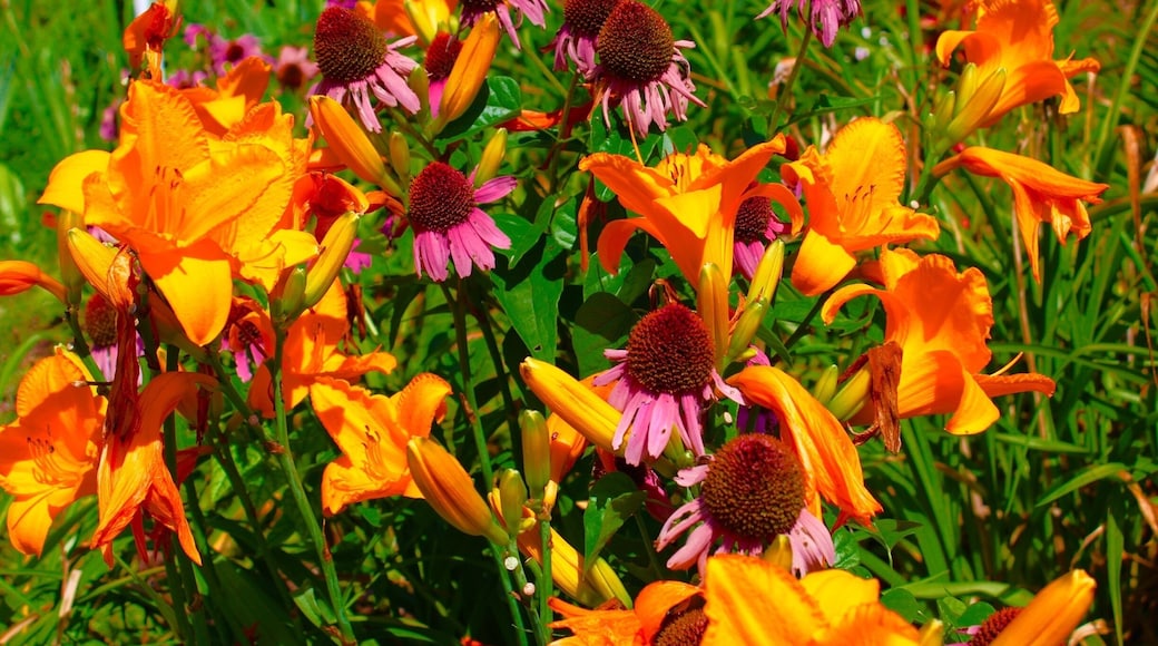 Rockbridge is an unincorporated community in northern Ozark County, Missouri. It is the site of an old mill on spring fed Spring Creek a tributary of Bryant Creek, which still houses the post office. It is twelve miles north of Gainesville, Missouri. On the property there is a gristmill, a post office general store and lodging options.
Oh my gosh! What a stunning place. It takes awhile to get there, but man is it worth the trip. Such a serene setting! I took my parents for breakfast, there is a fantastic restaurant in the general store, then we went and looked at the mill, creek, dam and trout hatchery! When the pub opened (Its inside the 1800’s grist mill btw) I set my parents down and they watched the anglers trying to catch the trout in the creek below.
From the pub you have a unique vantage point as you can see hundreds of fish in the water below that are not visible to the people fishing at ground level, so it’s fun to try and guess who will and won’t catch a fish!
Let’s talk about the people there. Each and every person was truly amazing. So friendly and hospitable. They really made you enjoy your time there!
I can’t wait to go back!
#LIFEATEXPEDIA #STAYCATION #IHEARTTRAVEL #ROCKBRIDGE #WATERMILLS #OZARKSBEAUTY