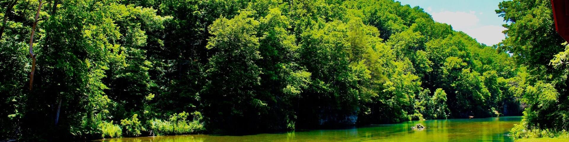 Rockbridge is an unincorporated community in northern Ozark County, Missouri. It is the site of an old mill on spring fed Spring Creek a tributary of Bryant Creek, which still houses the post office. It is twelve miles north of Gainesville, Missouri. On the property there is a gristmill, a post office general store and lodging options.
Oh my gosh! What a stunning place. It takes awhile to get there, but man is it worth the trip. Such a serene setting! I took my parents for breakfast, there is a fantastic restaurant in the general store, then we went and looked at the mill, creek, dam and trout hatchery! When the pub opened (Its inside the 1800’s grist mill btw) I set my parents down and they watched the anglers trying to catch the trout in the creek below. While they observed the action, I walked around to take pics of all the scenery.
From the pub you have a unique vantage point as you can see hundreds of fish in the water below that are not visible to the people fishing at ground level, so it’s fun to try and guess who will and won’t catch a fish!
Let’s talk about the people there. Each and every person was truly amazing. So friendly and hospitable. They really made you enjoy your time there!
I can’t wait to go back!
#LIFEATEXPEDIA #STAYCATION #IHEARTTRAVEL #ROCKBRIDGE #WATERMILLS #OZARKSBEAUTY #LIKEALOCAL