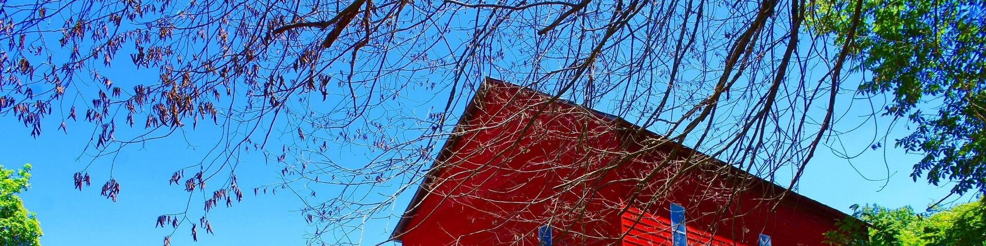 Rockbridge is an unincorporated community in northern Ozark County, Missouri. It is the site of an old mill on spring fed Spring Creek a tributary of Bryant Creek, which still houses the post office. It is twelve miles north of Gainesville, Missouri. On the property there is a gristmill, a post office general store and lodging options.
Oh my gosh! What a stunning place. It takes awhile to get there, but man is it worth the trip. Such a serene setting! I took my parents for breakfast, there is a fantastic restaurant in the general store, then we went and looked at the mill, creek, dam and trout hatchery! When the pub opened (Its inside the 1800’s grist mill btw) I set my parents down and they watched the anglers trying to catch the trout in the creek below. While they observed the action, I walked around to take pics of all the scenery.
From the pub you have a unique vantage point as you can see hundreds of fish in the water below that are not visible to the people fishing at ground level, so it’s fun to try and guess who will and won’t catch a fish!
Let’s talk about the people there. Each and every person was truly amazing. So friendly and hospitable. They really made you enjoy your time there!
I can’t wait to go back!
#LIFEATEXPEDIA #STAYCATION #IHEARTTRAVEL #ROCKBRIDGE #WATERMILLS #OZARKSBEAUTY #LIKEALOCAL