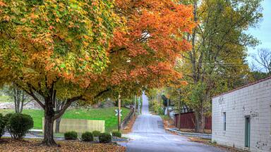 Magnificent Maple on Brickey Street Steelville Missouri Looking north down Brickey Street on a autumn afternoon. A beautiful maple tree in prime foliage creates a classic small town America scene.