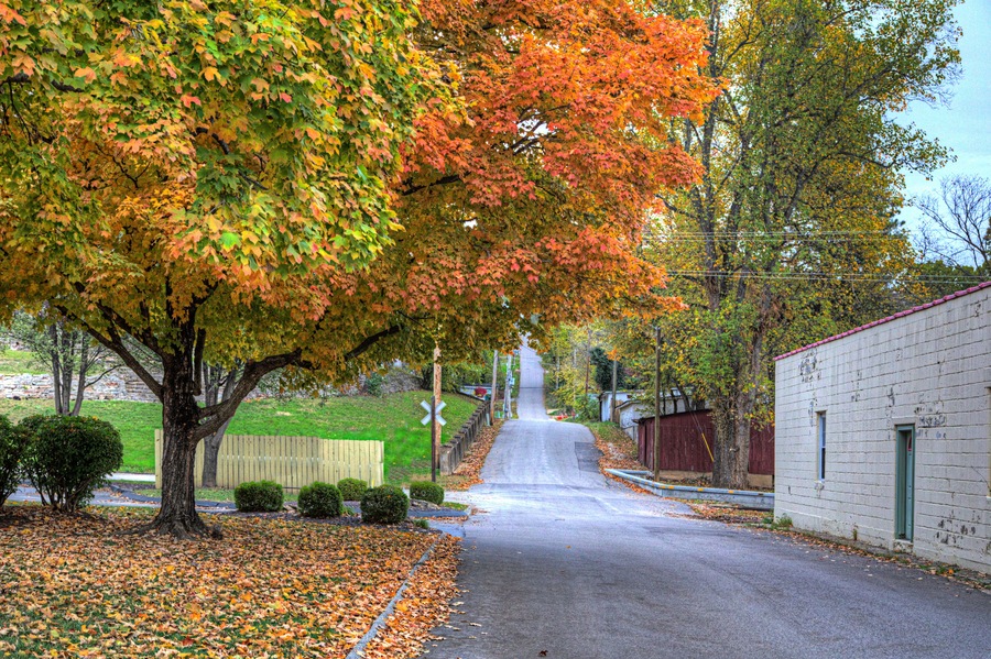 Magnificent Maple on Brickey Street Steelville Missouri Looking north down Brickey Street on a autumn afternoon. A beautiful maple tree in prime foliage creates a classic small town America scene.