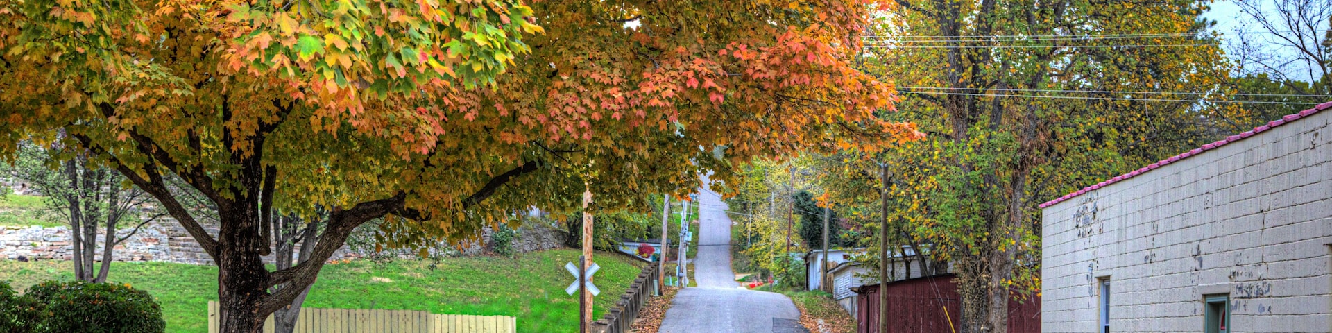 Magnificent Maple on Brickey Street Steelville Missouri Looking north down Brickey Street on a autumn afternoon. A beautiful maple tree in prime foliage creates a classic small town America scene.