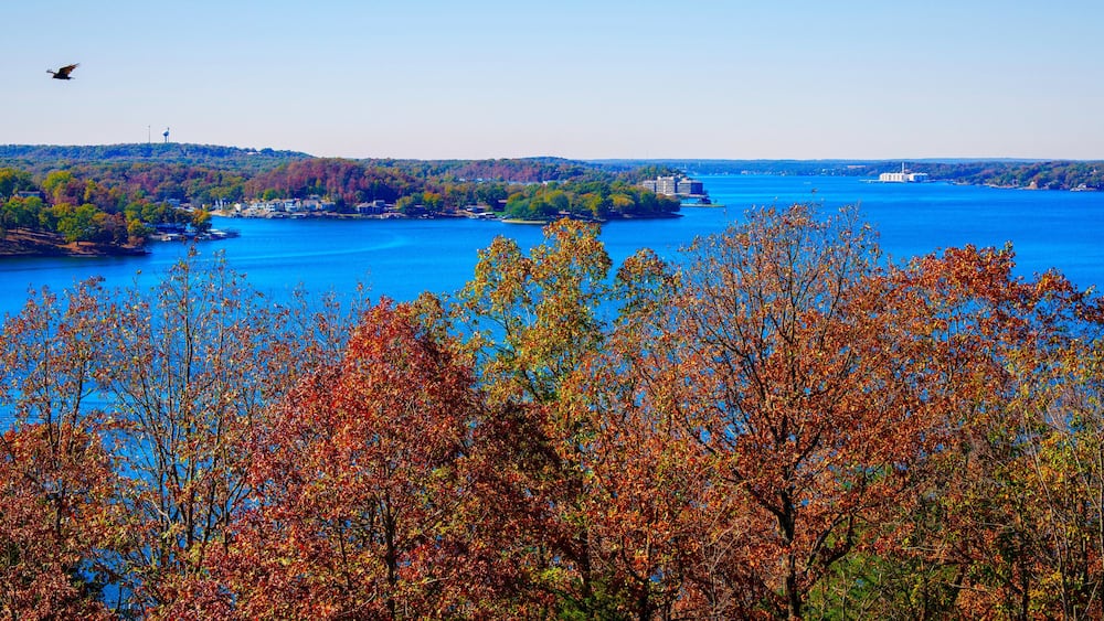 A river with autumn foliage, a bird flying, and buildings in the distance.