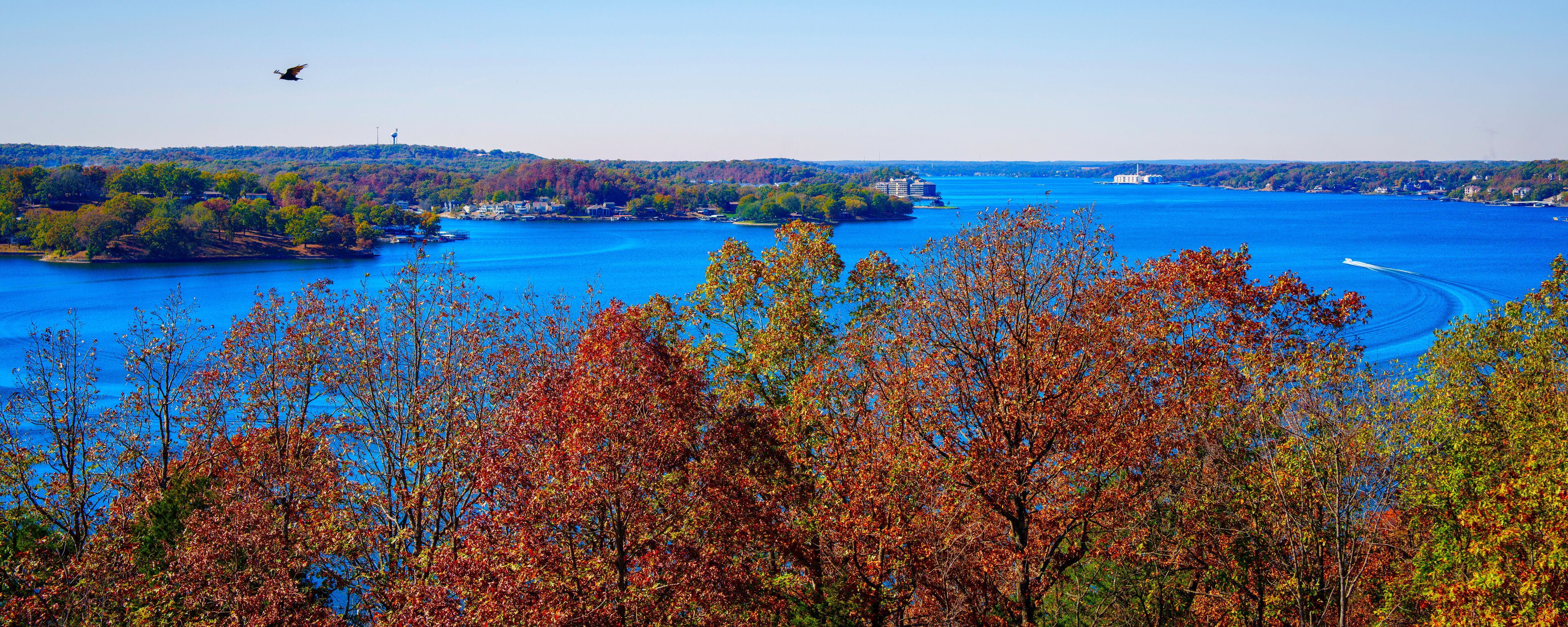 A river with autumn foliage, a bird flying, and buildings in the distance.