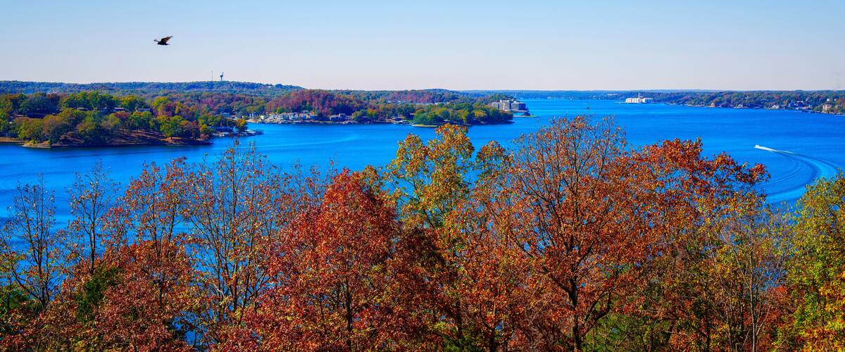 A river with autumn foliage, a bird flying, and buildings in the distance.