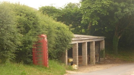 Seaborough: telephone box Little used I'm sure, and lucky it's still in use.