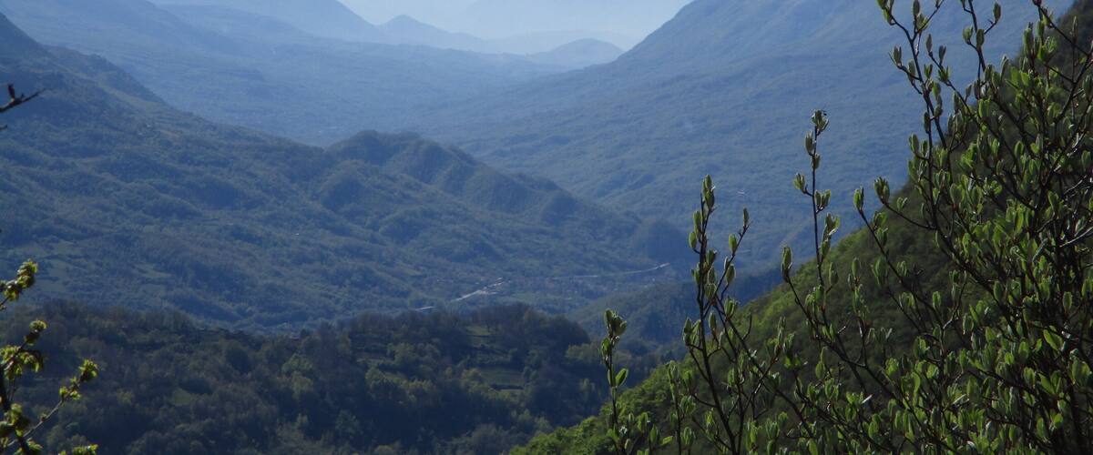 A mountainous landscape with rolling hills and dense forests.