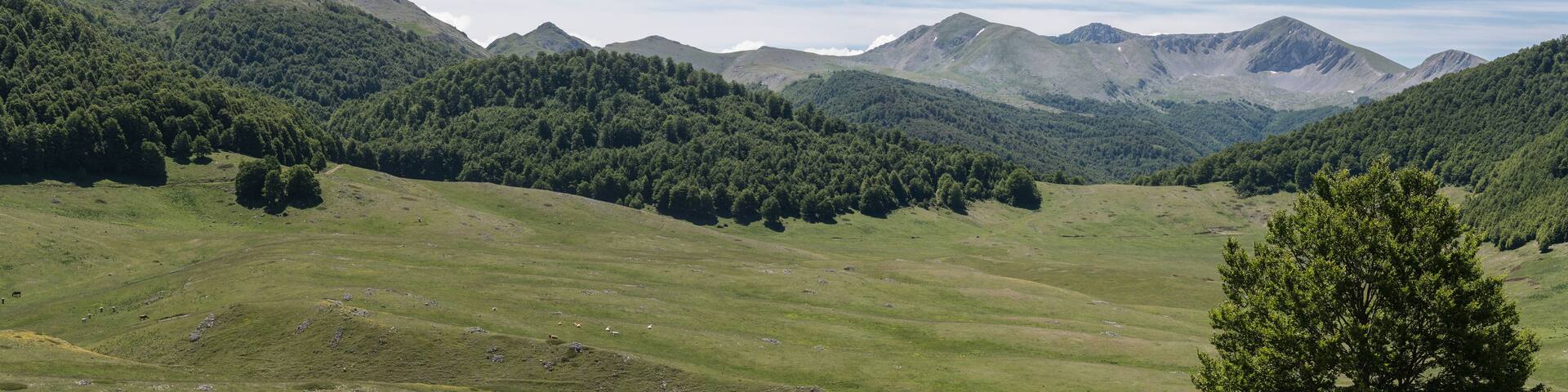 A mountainous landscape with dense forests and rolling hills.