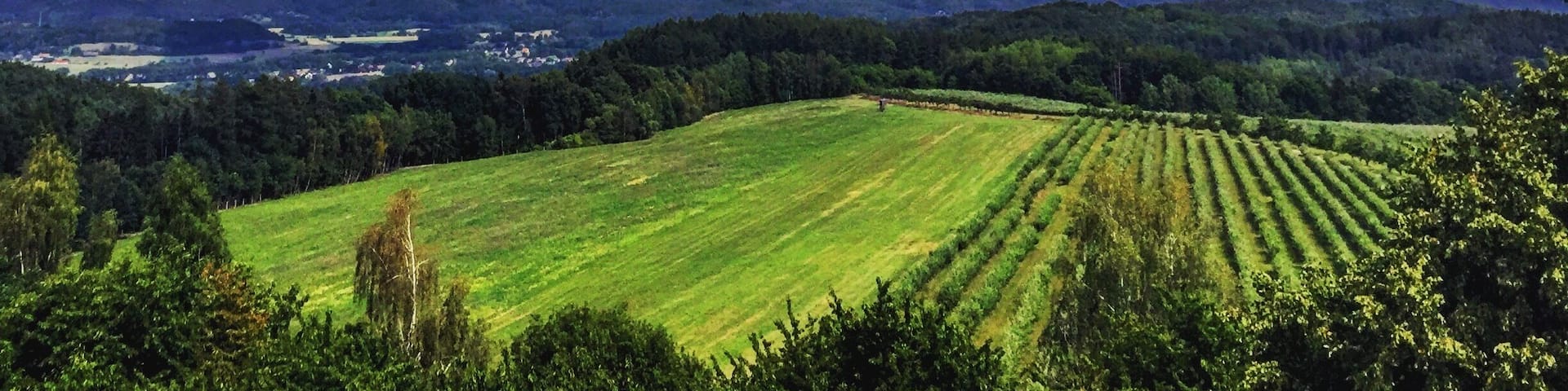 Czech paradise is the typical weekend away for Czechs that get outside of Prague for the weekend. Many outdoor activities like hiking and biking, and of course drinking beer #weekendgetaway #czechrepublic