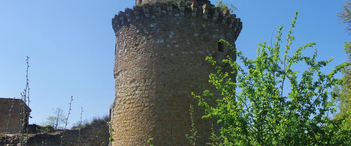 A stone tower with a crenellated top, surrounded by greenery and a clear blue sky.