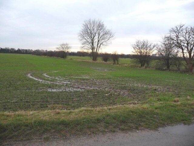 Waterlogged field, south side of Burton Common Lane The Ferrybridge cooling towers are just above the horizon, behind the trees.