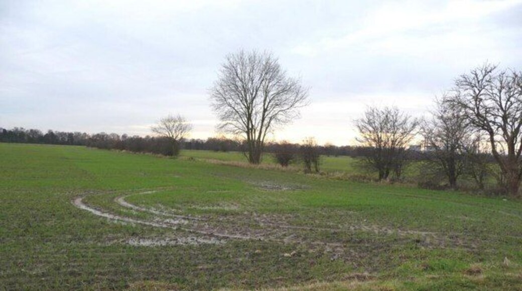 Waterlogged field, south side of Burton Common Lane The Ferrybridge cooling towers are just above the horizon, behind the trees.