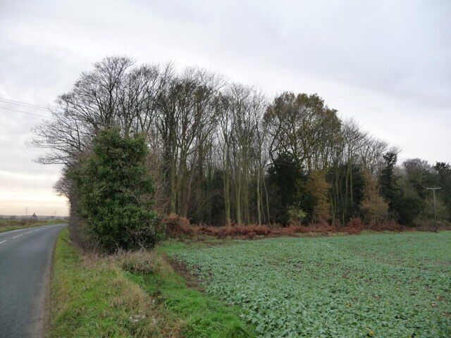 Wall Close Wood, off Birkin Lane