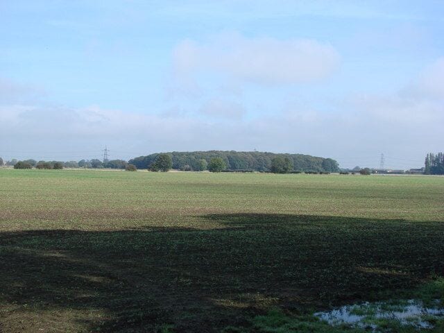 Bywater Woods, seen across farmland from Burton Common Woods.