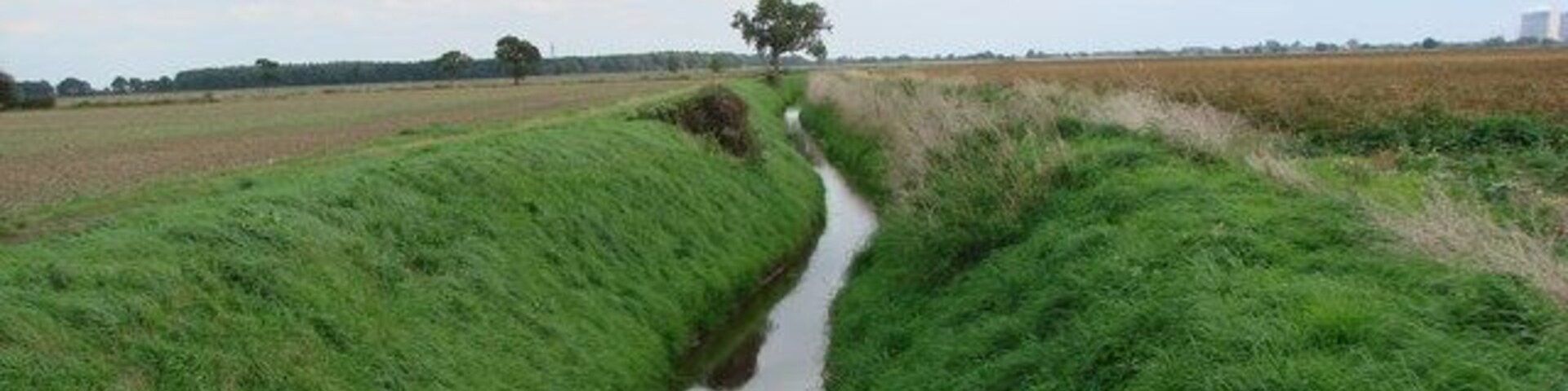 Maspin Moor, land drain, looking east south east across farmland. To the left of this land drain is a cart track cllaed Maspin Moor Road.