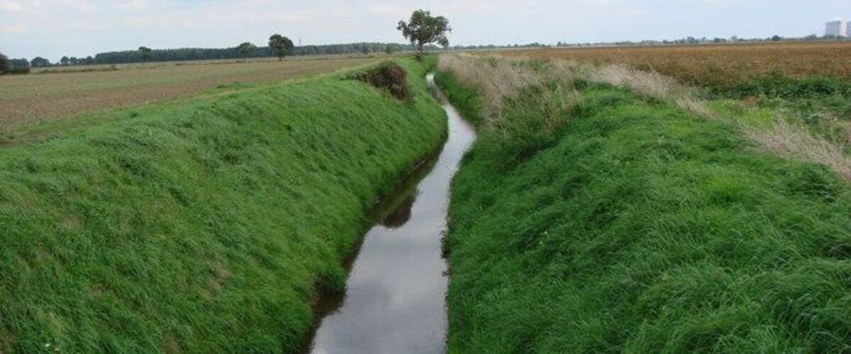 A narrow water channel flanked by lush green grass fields under a cloudy sky.