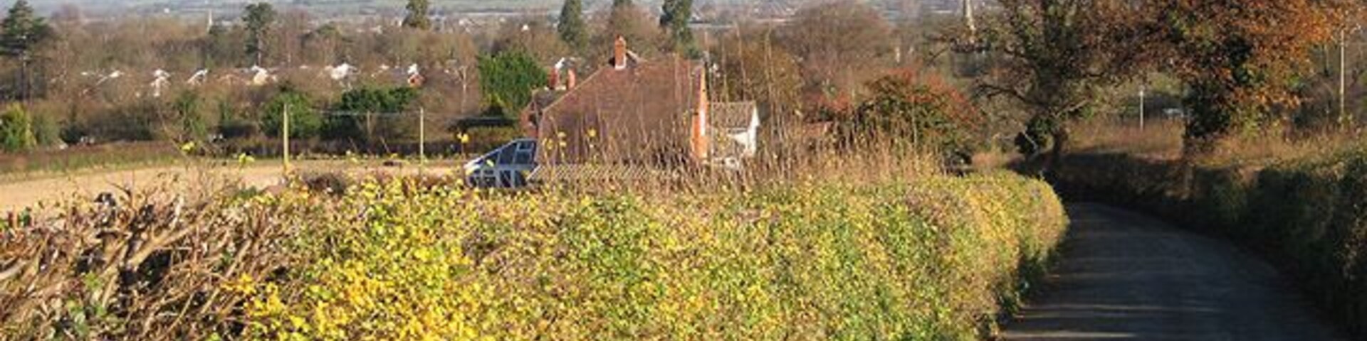 Road to Moreton on Lugg from Burghill. Narrow but with a few places where you can squeeze through. Two church spires can be seen in the distance: to the left, St Mary the Virgin at Marden, 1050657 and to the right, St Andrew's at Moreton. 1051246