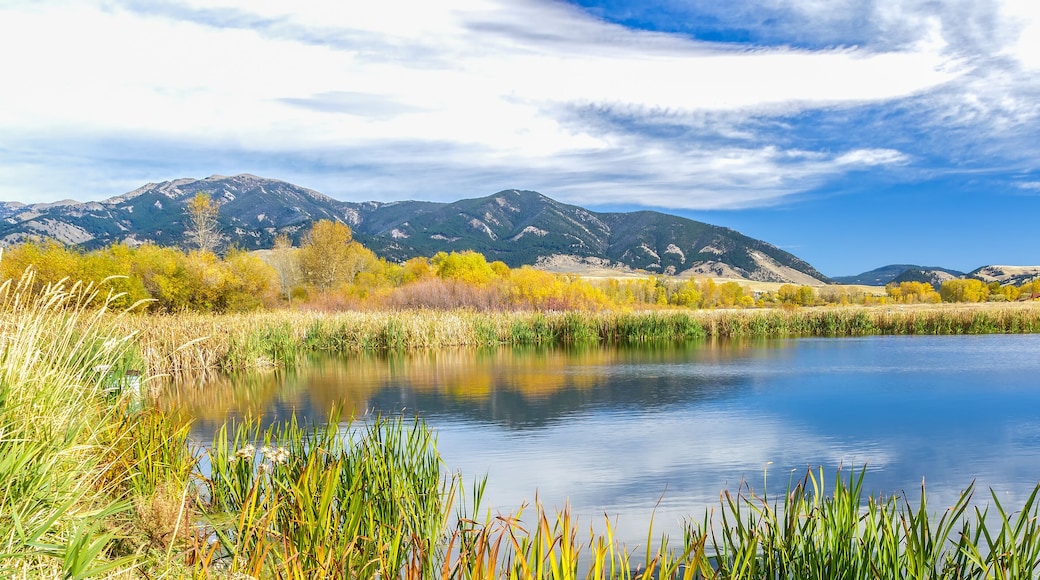 Cherry Creek Preserve