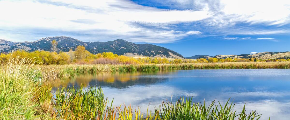 Cherry Creek Preserve