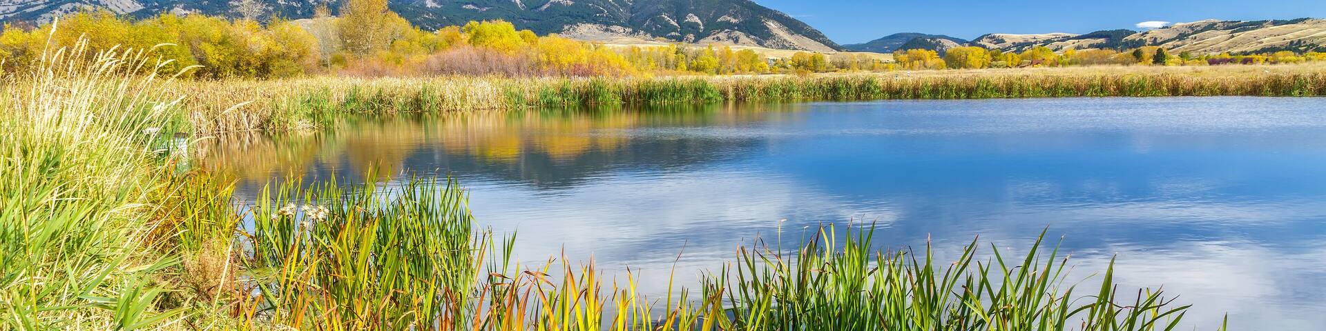 Cherry Creek Preserve