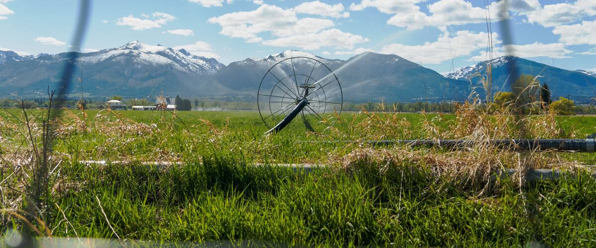 A field with a sprinkler system, mountains in the background, and a clear sky.
