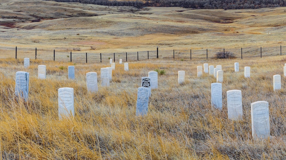A cemetery with white headstones in a dry grass field, surrounded by a fence.