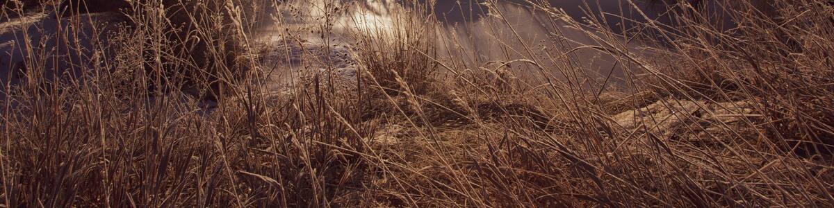 The sun rises above a bend in the Bitterroot River near Florence, MT.