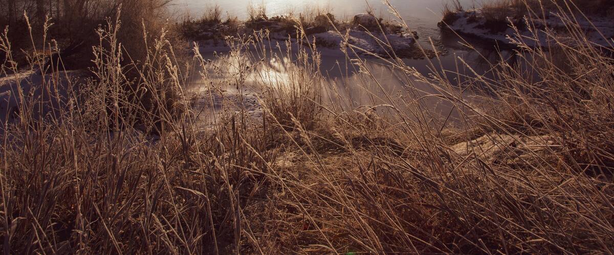 The sun rises above a bend in the Bitterroot River near Florence, MT.