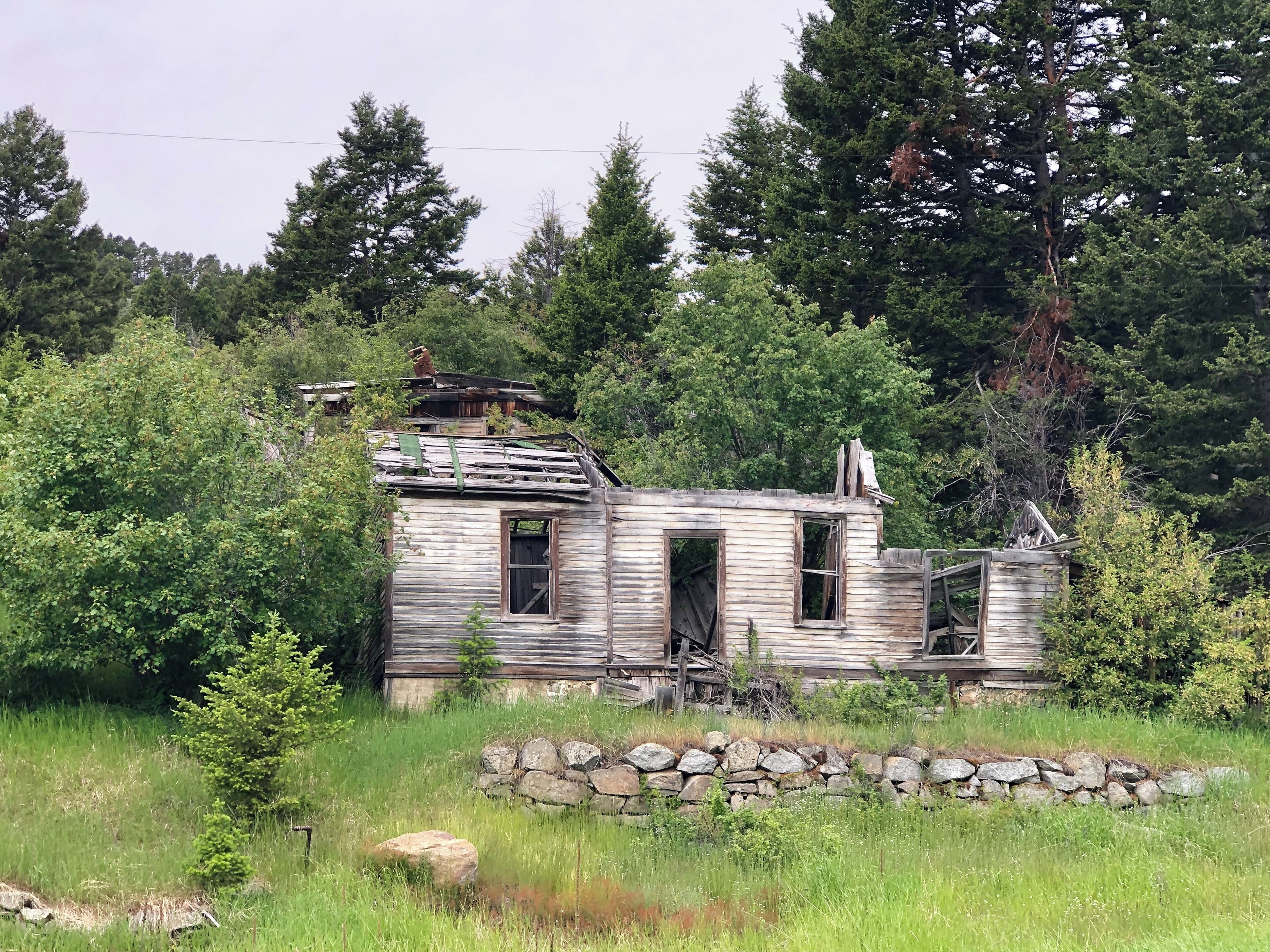 A dilapidated wooden cabin surrounded by dense forest.