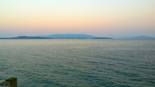 Sunrise on Flathead. If you are there in the summer, drive around the East side of the lake to pick up some fresh picked cherries.
#goldenhour
#waterlust