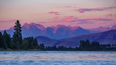 Purple mountain majesty #Adventure