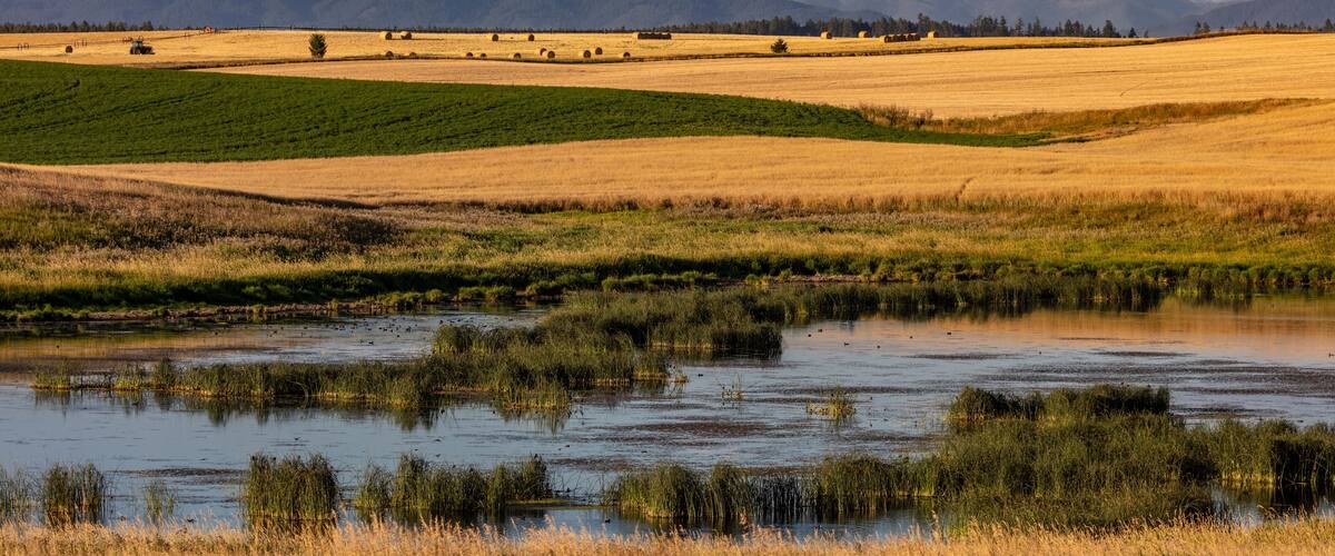 A landscape with a river, fields, and mountains in the background.
