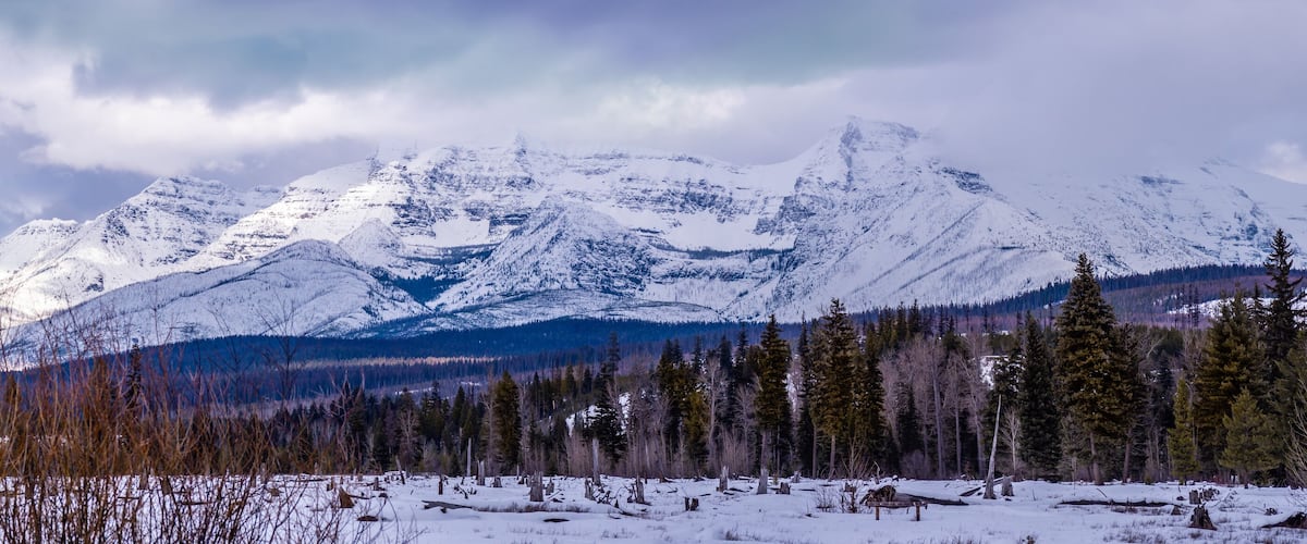 A snow-covered mountain range with a forested foreground.