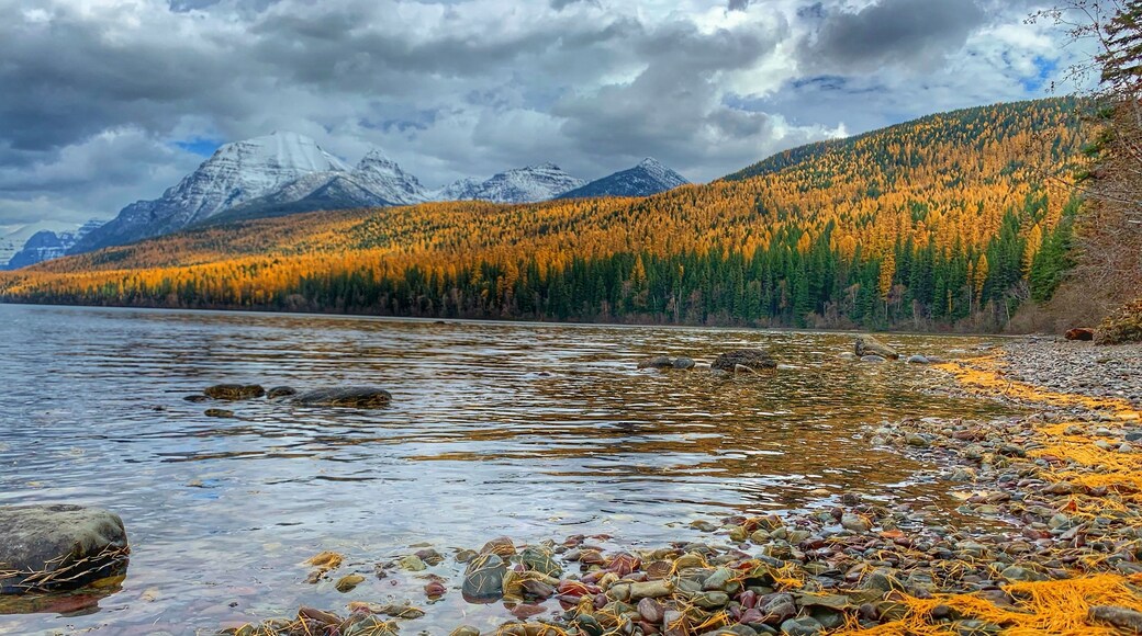Oh the beauty of fall! #mybackyard #adventure #trails #lake #fall #fallcolors #tamaracks #rocks