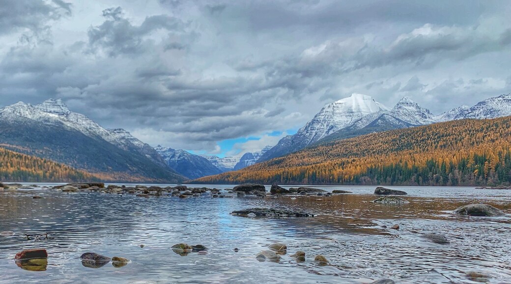 Montana 😍 #Mybackyard #adventure #bowmanlake #montana #mountains #snow #fall #trees