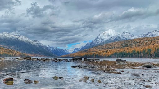Montana 😍 #Mybackyard #adventure #bowmanlake #montana #mountains #snow #fall #trees