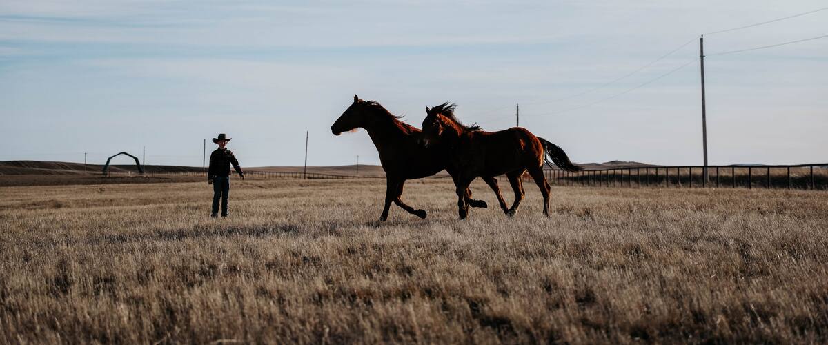 12-Year-Old Boy Masters Liberty Work with Majestic Horses!