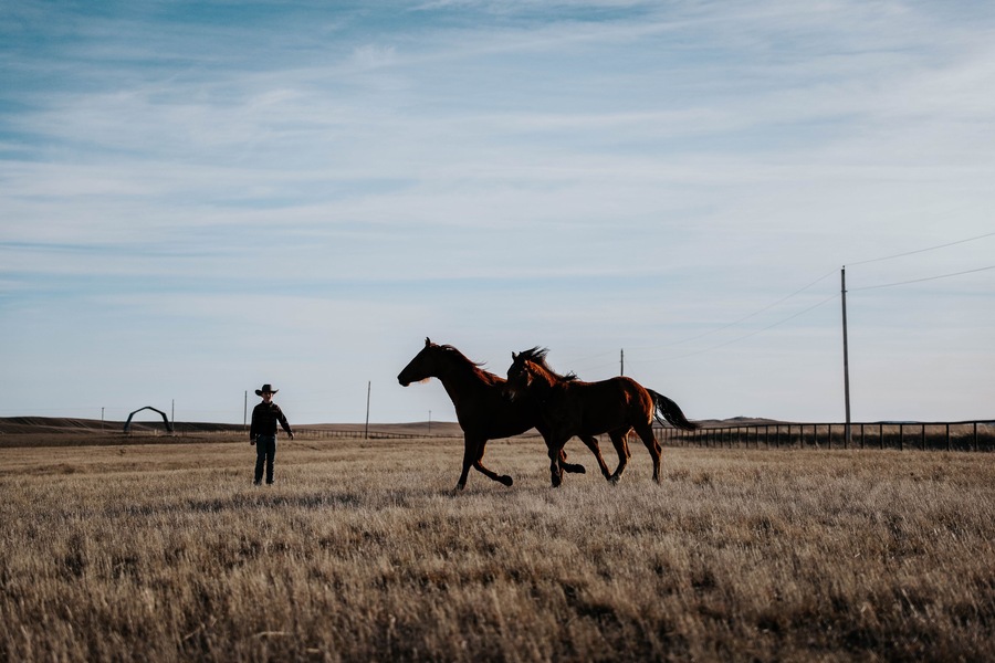 12-Year-Old Boy Masters Liberty Work with Majestic Horses!