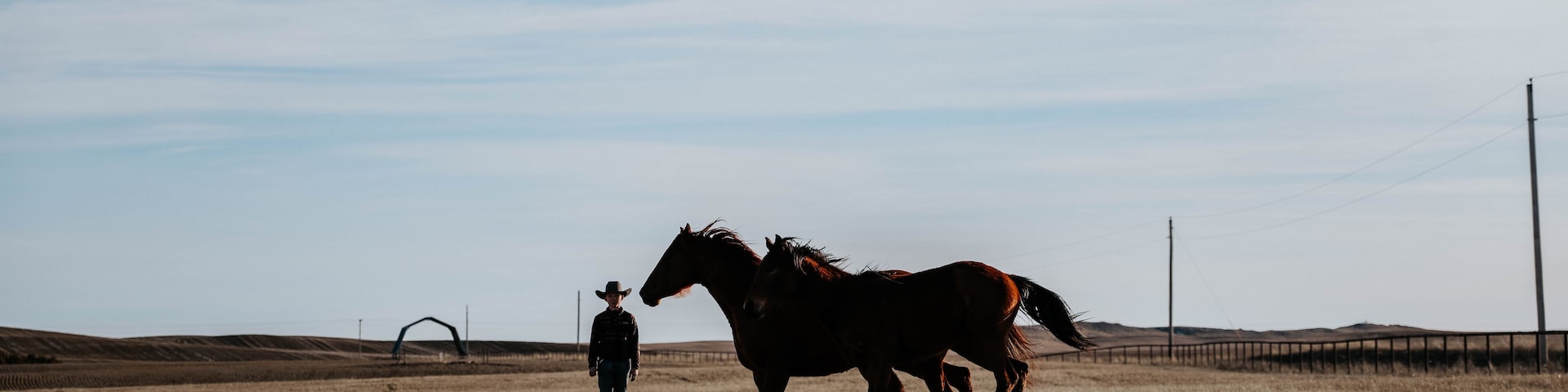 12-Year-Old Boy Masters Liberty Work with Majestic Horses!