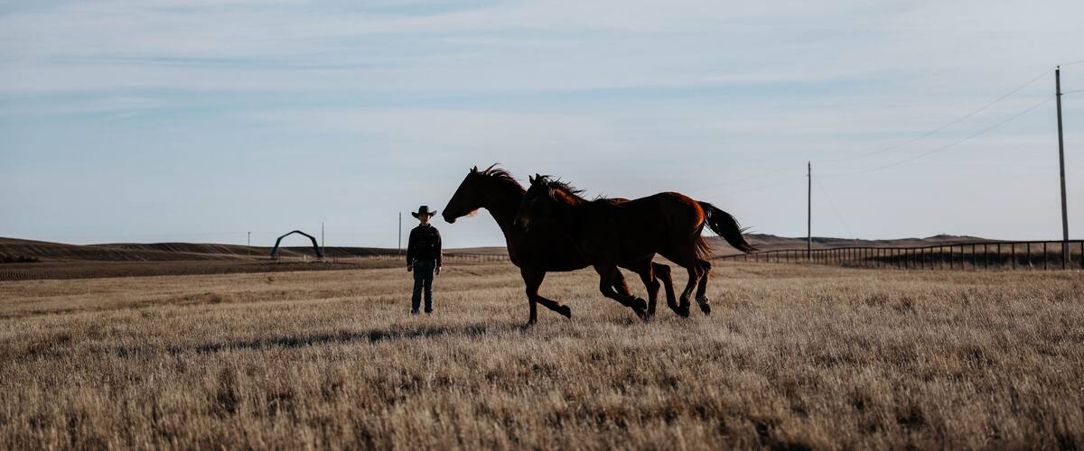 12-Year-Old Boy Masters Liberty Work with Majestic Horses!