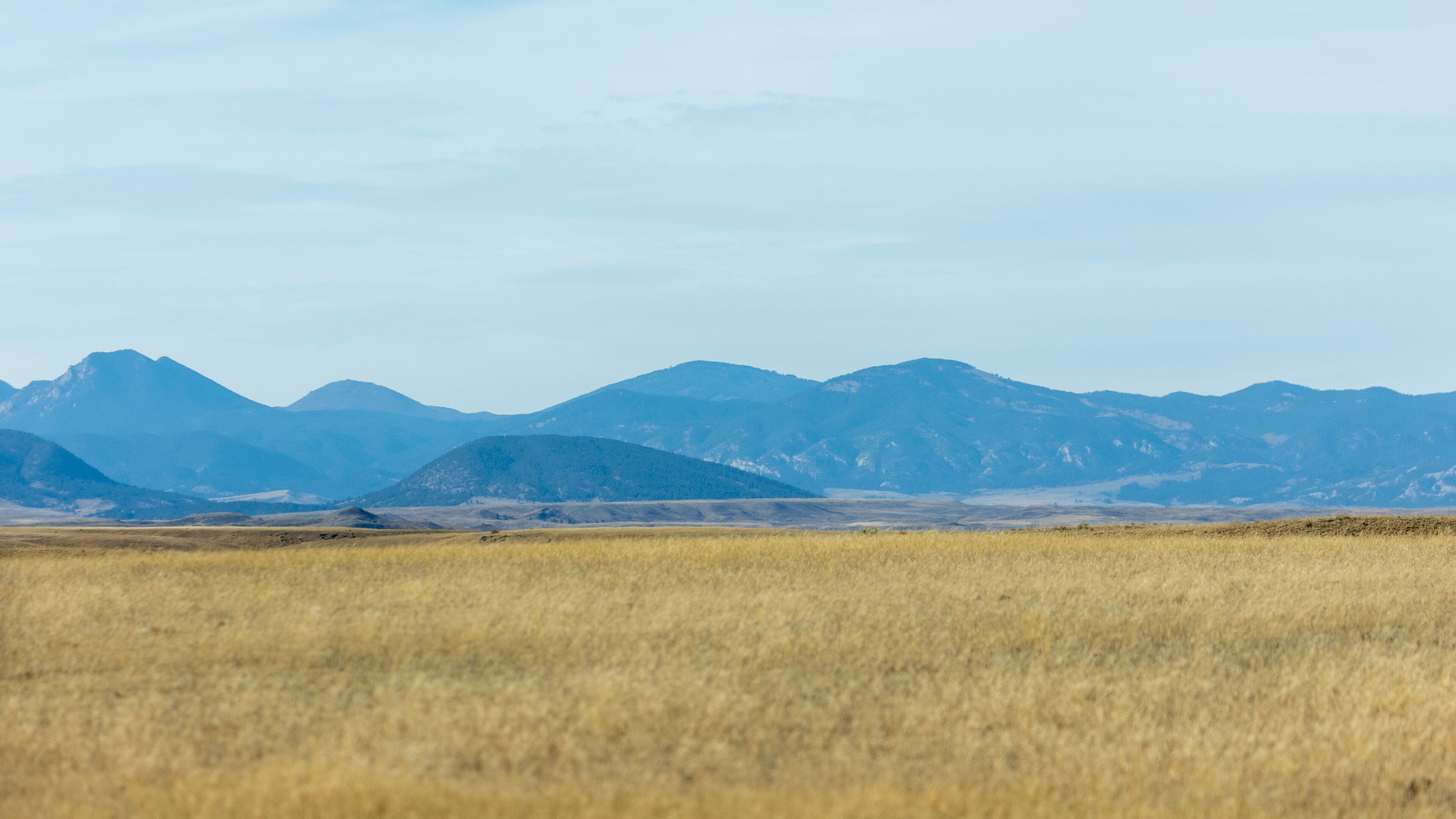 A vast open field with distant mountains under a clear sky.