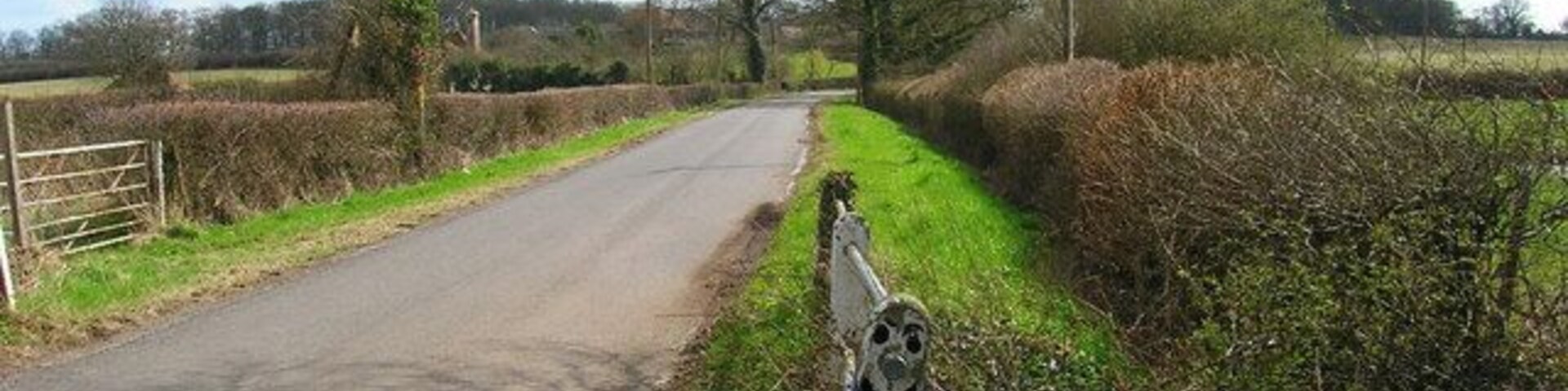 Dressed for success, Swallows Lane. Well dressed fence post brings a bit of class to Dial Post.