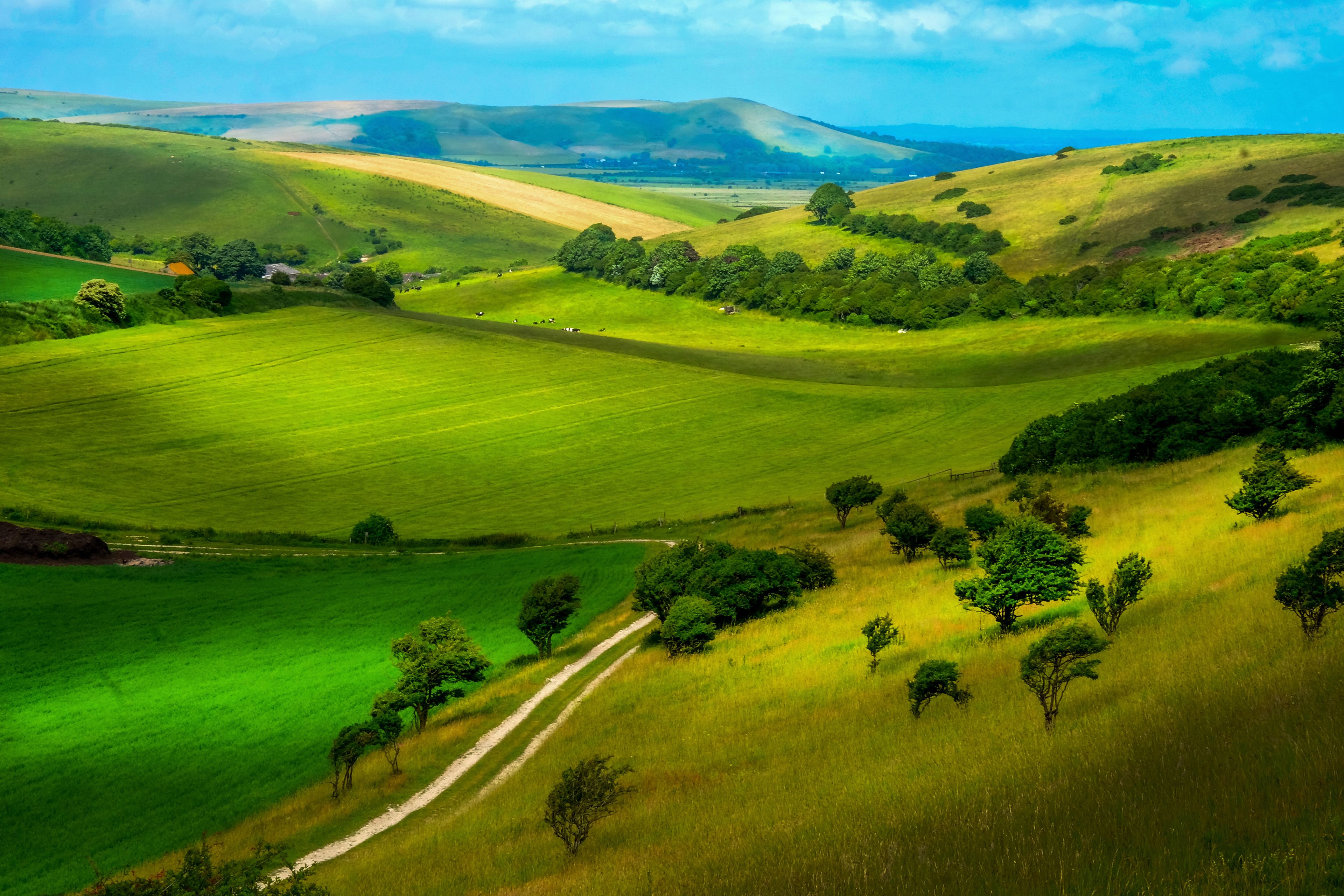 Beautiful Rolling Sussex countryside