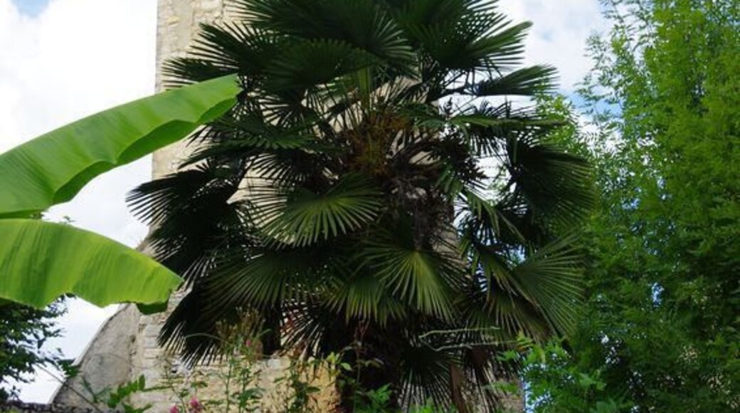 This building is indexed in the Base Mérimée, a database of architectural heritage maintained by the French Ministry of Culture, under the reference PA09000024 .