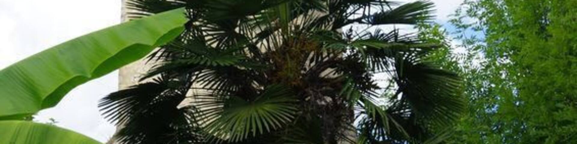 This building is indexed in the Base Mérimée, a database of architectural heritage maintained by the French Ministry of Culture, under the reference PA09000024 .