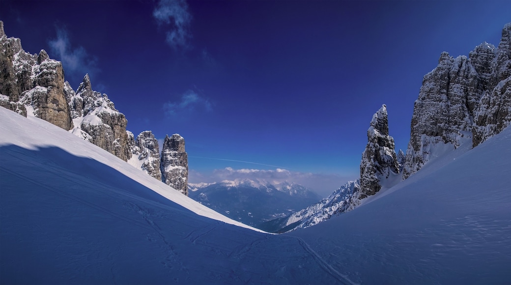 Parco naturale delle Dolomiti Friulane (Q683241)